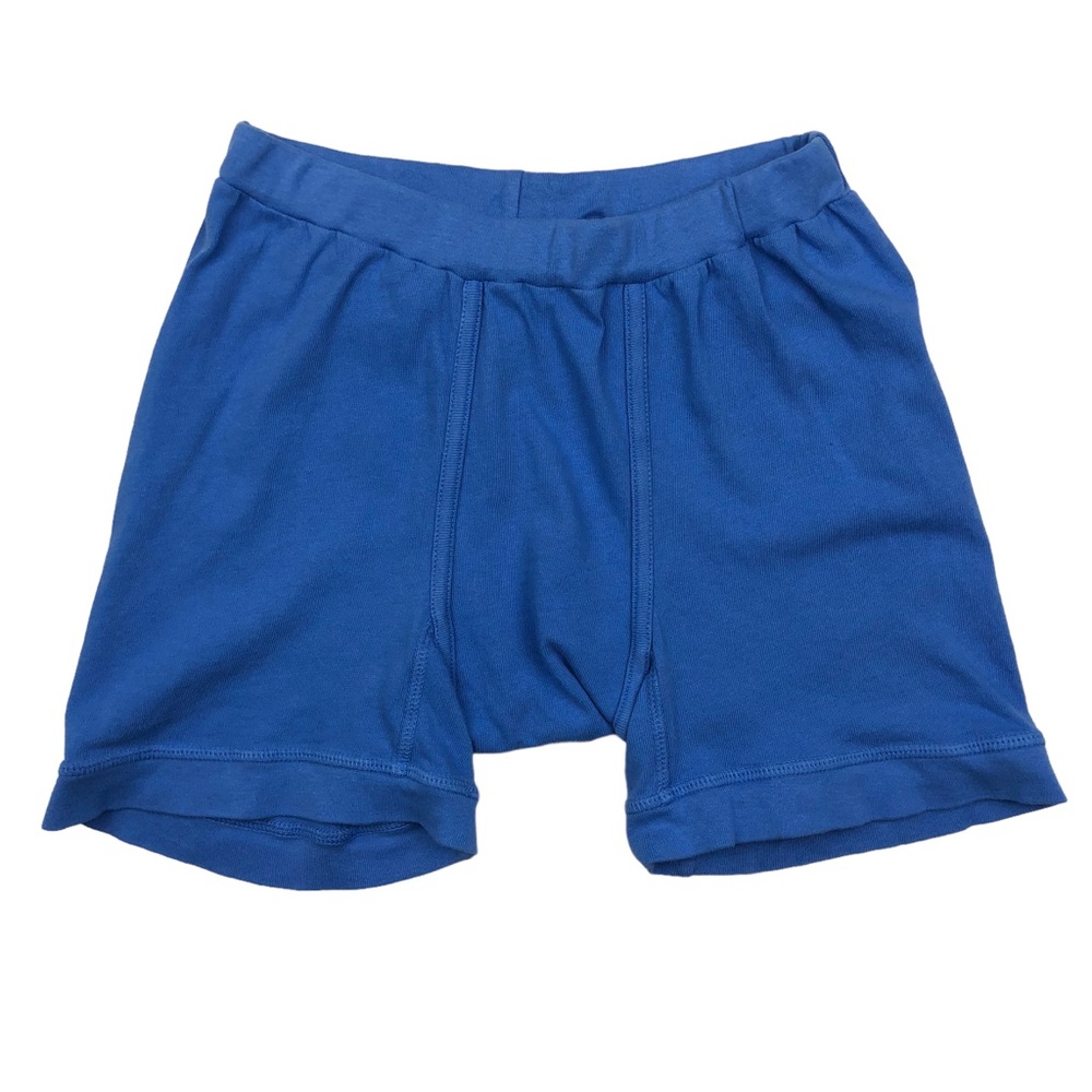 NWT Daydream Nation Boxer Brief SMALL